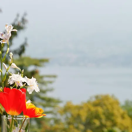 Santangela Hostel&rooms *