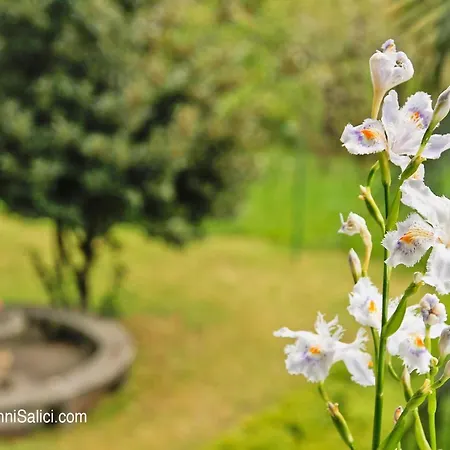 Auberge de jeunesse Santangela & Menaggio