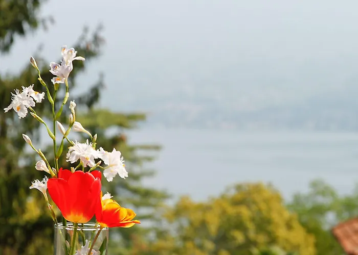 Santangela Hostel&rooms *