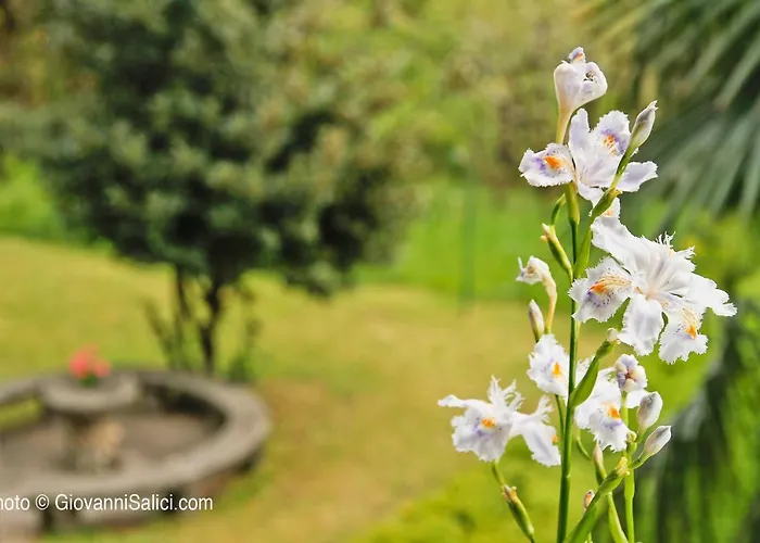 Хостел Santangela & Менаджо